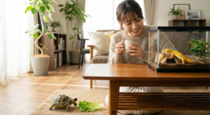 レオパとリクガメ