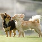 プロフィール写真