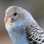 プロフィール写真