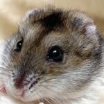 プロフィール写真